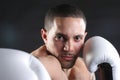 Knock Out Punch Royalty Free Stock Photo