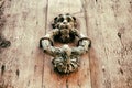 knocker Royalty Free Stock Photo