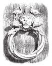 Knocker of the main door of the cathedral of Trani, city of Apulia, vintage engraving