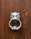 Feline head door knocker Royalty Free Stock Photo