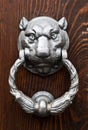 Feline head door knocker Royalty Free Stock Photo