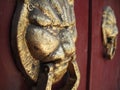 Knockers on a door Royalty Free Stock Photo