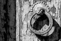 Knockers Wooden door of an entrance of the house