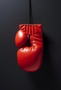 Knockout Red: The Art of Boxing