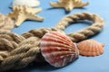 Knot with different seashells