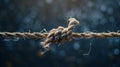 A Knot on Fraying Rope.AI generated image Royalty Free Stock Photo