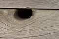 Knot Hole In Wood