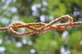 Knot Loop of a thick thread Royalty Free Stock Photo