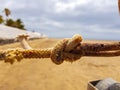 Knot made in the middle of a piece of string Royalty Free Stock Photo