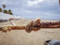 Knot made in the middle of a piece of string Royalty Free Stock Photo