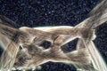 Nylon fibers under the microscope and in polarized light. Royalty Free Stock Photo