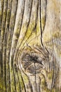 Knot in old wood board Royalty Free Stock Photo