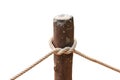 Knot of rope tied around wooden stake.