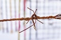 Knot of rusty wire. detail on a striped background. close-up, macro