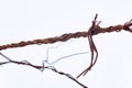 Knot of rusty wire. detail on a white background. close-up, macro