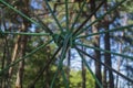 Knot from a sling against coniferous wood