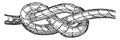 Knot, vintage illustration