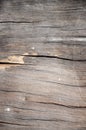 Knot wood Background Royalty Free Stock Photo