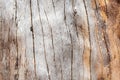 Knot wood Background