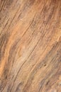 Knot wood Background