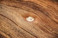 Knot wood Background Royalty Free Stock Photo