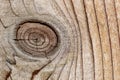 Knothole closeup in a wooden pine fence. Royalty Free Stock Photo