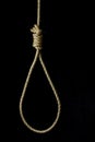 knotted gallows rope