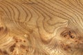 Knotted Grainy Wood Texture Royalty Free Stock Photo