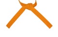 Knotted Karate Orange Belt