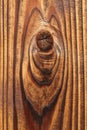 Knotted wood texture