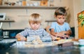 They know their way around a kitchen. two adorable little boys baking together at home.