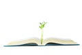 Knowledge concept with books and seedling Royalty Free Stock Photo