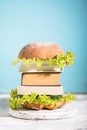 Knowledge fast food concept represented by burger with books on blue background