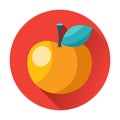 Knowledge juicy apple with leaf icon