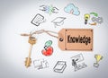 Knowledge. Key on a white background Royalty Free Stock Photo