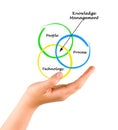 Knowledge Management Royalty Free Stock Photo