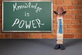 Knowledge is Power education funny concept