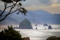 View of Haystack Rock from Ecola State Park.