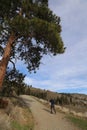 A walking trail with blue sky, at Knox mountain park in Canada