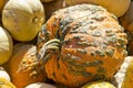 Knucklehead Pumpkin Royalty Free Stock Photo