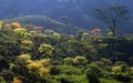 Knuckles Forest Reserve, Sri Lanka