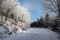 The knurled wide trails Royalty Free Stock Photo