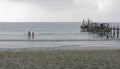 People bathing on the beach of the coconut island