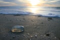 Jellyfish watches Ko Phi Phi Sunset Royalty Free Stock Photo