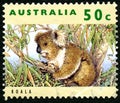 Koala Australian Postage Stamp