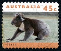 Koala Australian Postage Stamp