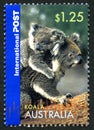 Koala Australian Postage Stamp