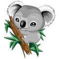 Koala Baby Cute Cartoon Character Vector Illustration Royalty Free Stock Photo