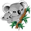 Koala Baby and Mother on Eucalypt Branch Cute Characters Vector Illustration Royalty Free Stock Photo