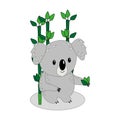 Koala and bamboo, leaves, isolated, white background Royalty Free Stock Photo